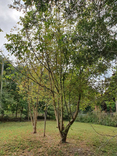 Lote En Barrio Lomas Altas Chascomús A 400 Mts De La Laguna.