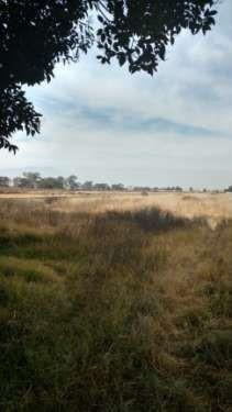 Imagen 8 de 10 de Terreno - Guadalupe