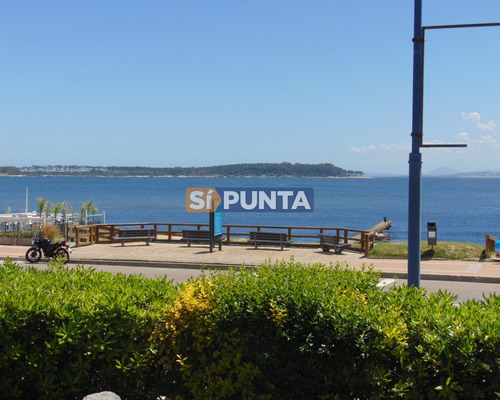 Punta Del Este Peninsula 3 Suites Apto Con Jardin 500 Metros!!! Alquiler Anual 