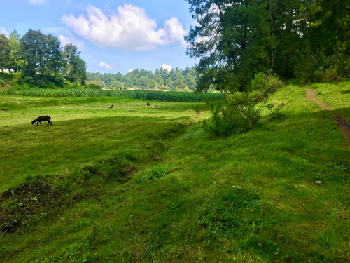 Terreno En Venta, Vista Al Bosque En Los Saucos.