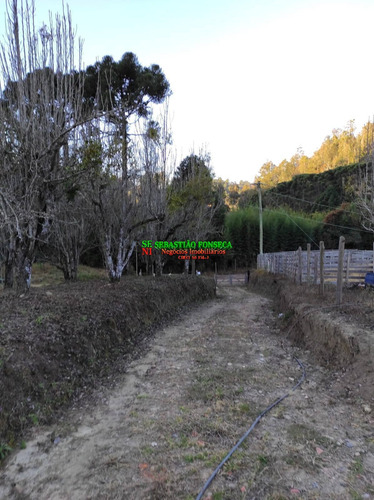 Imagem 2 de 12 de Chácara Em Marmelópolis- Mg - 2085