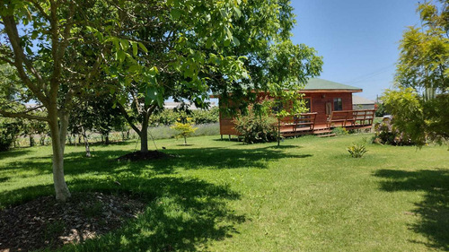 Quillota (104730)