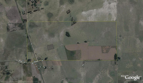 Imagen 16 de 19 de Campo Mixto De 280 Has Con Inmejorable Acceso Sobre Asfalto En Alegre - Oportunidad !