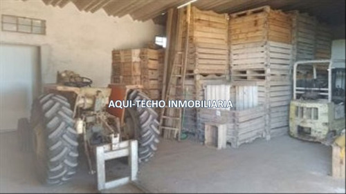 Alquiler De Cámara Y Galpón En Melilla