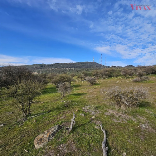 Sitio En Venta En Curicó