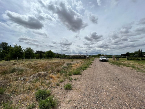 Imagen 9 de 11 de Venta Terreno 600 Mts Las Catalpas