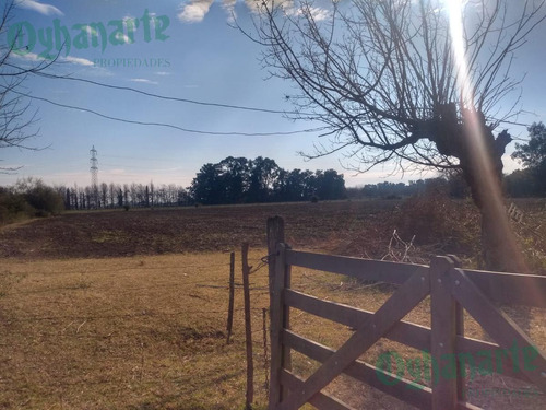 Imagen 4 de 21 de Venta De Campo De 23 Hectáreas En General Rodriguez.