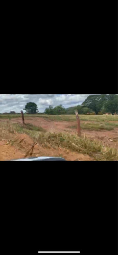 Imagem 12 de 14 de Fazenda Dupla Aptidão Município Brasilândia