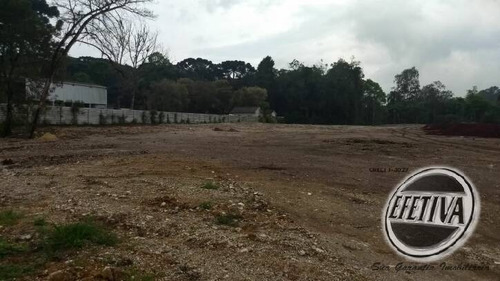 Imagem 1 de 8 de Área Terreno 13.500 M² - Pinhais - Colombo Pr - 577t