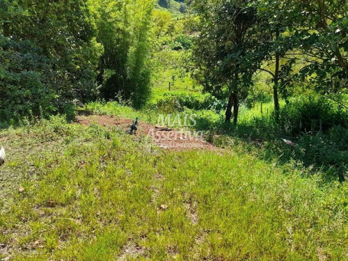 Imagem 2 de 4 de Terreno Em Rolantinho - 179152