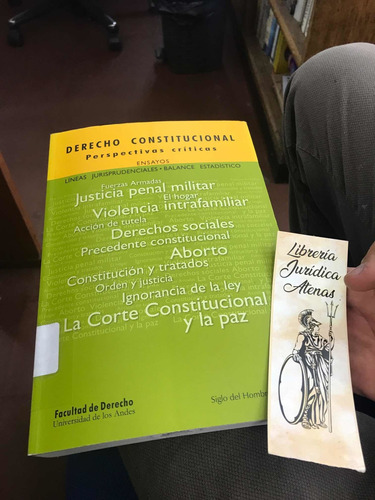 Derecho Constitucional Perspectivas Críticas