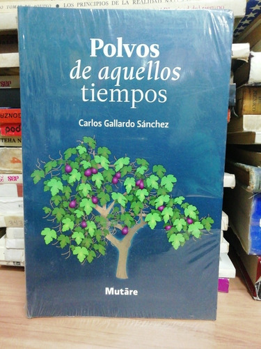 Polvos De Aquellos Tiempos/ Carlos Gallardo Sánchez 