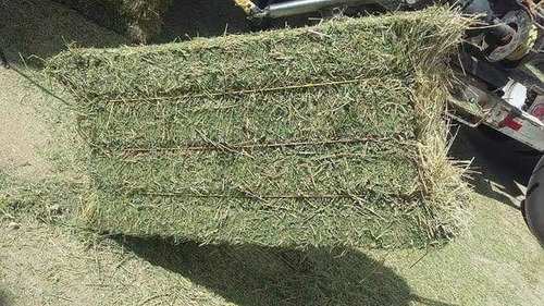 Imagen 2 de 2 de Nuevo Libro. Paca Heno Jumbo De Alfalfa. Envío Gratis
