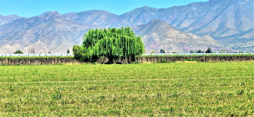 En Venta Parcela En San Rafael, San Felipe, 75.600 M2., En P