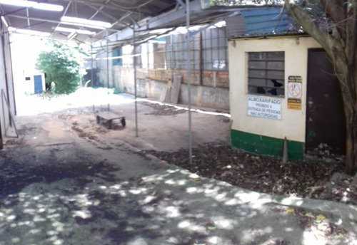 Terreno Para Alugar, 500 M² Por R$ 3.500,00/mês - Anália Franco - São Paulo/sp - Te0090