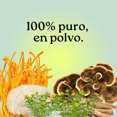Rhodiola Adaptógenos En Polvo 100% Natural