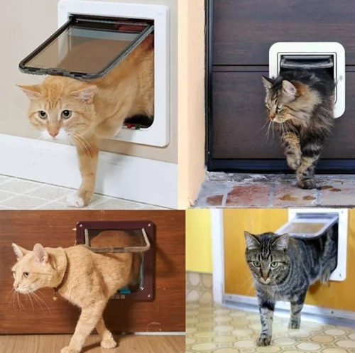 Porta Portinha Pet Gato Ou Cão Branca Tam G 23,4cm X 25cm Cor Branco