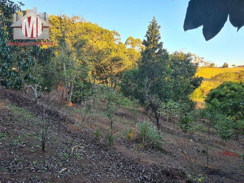 Imagem 11 de 30 de Ótima Chácara Com 4 Dormitórios, Edícula, Salão De Jogos, Pomar, Horta, Bem Localizada, À Venda, 5000 M² Por R$ 630.000 - Zona Rural - Pinhalzinho/sp - Ch0984