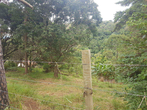 Imagem 2 de 14 de Terreno, Centro, Pirapora Do Bom Jesus - R$ 1.200.000,00, 430m² - Codigo: 234967 - V234967