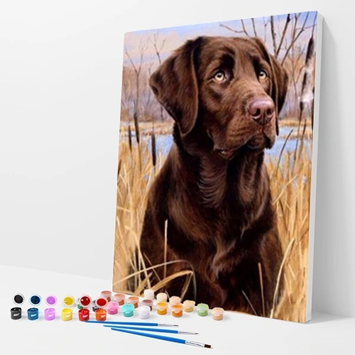 Pintura Numerada Cão Labrador