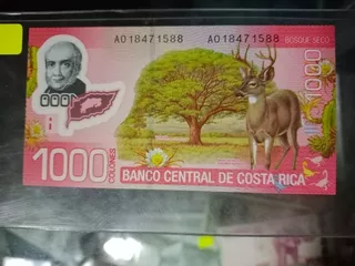 Ksi Merito Walmart Costa Rica