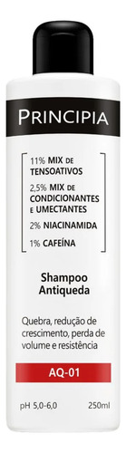 Shampoo Capilar Antiqueda - Principia