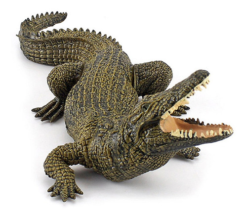 Modelo De Cocodrilo 5 Piezas