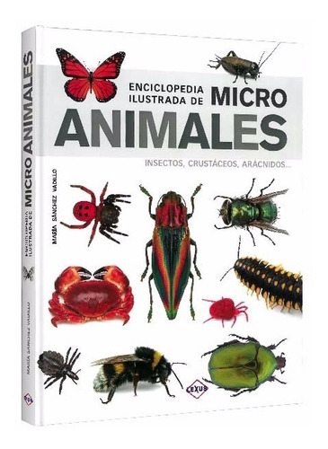 Libro Enciclopedia Ilustrada De Micro Animales Insectos