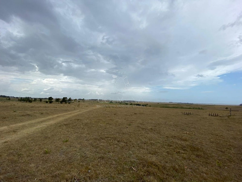 Imagen 3 de 8 de Venta De Chacra En Rincón De José Ignacio, 5 Hectareas - Jose Ignacio José Ignacio