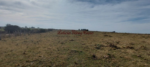 Imagen 3 de 23 de Venta De Chacra 19 Has En San Carlos, Maldonado