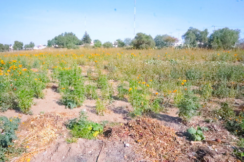 Terreno En Renta Varios Giros.