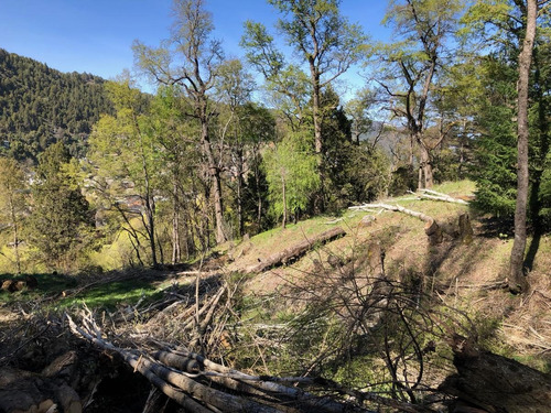 Imagen 1 de 30 de Terreno Apto Desarrollo Lote Centro 6686 M2 - San Martin De Los Andes
