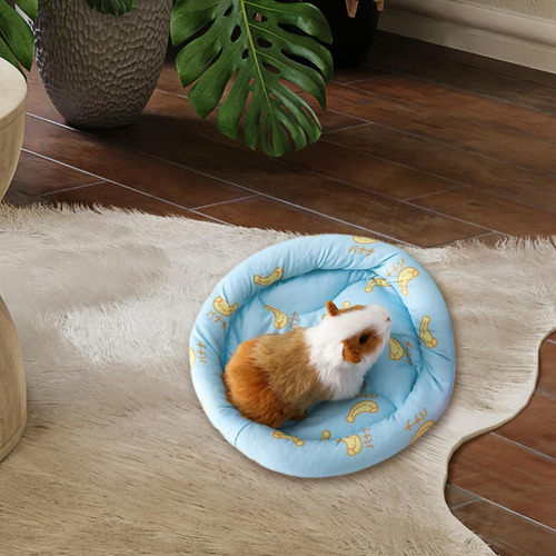 Cama De Dormir Para Animais Pequenos, Almofada De Azul S