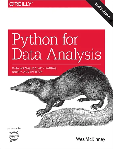 Python For Data Analysis, 2e - Wes Mckinney | Envío gratis