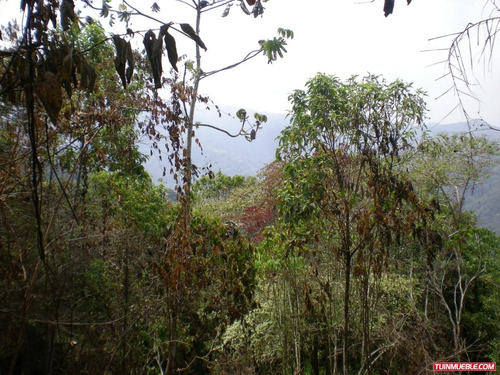 Imagen 8 de 12 de Venta De Terreno En San Jose De Los Altos Edo Miranda Rzxx