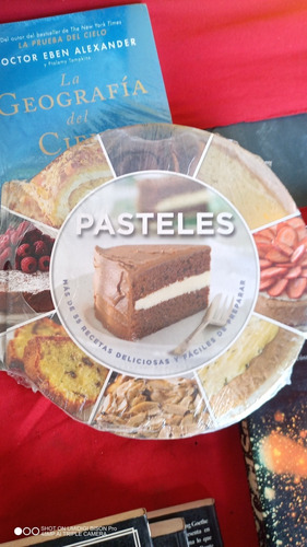 Libro Pasteles 55 Recetas Deliciosas Y Fáciles