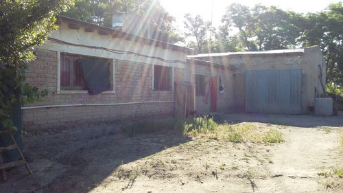 Imagen 6 de 14 de Finca En Las Paredes - 10 Hectareas 1º Regante