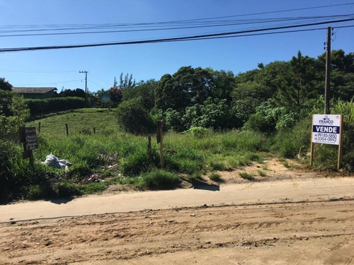 Imagem 3 de 6 de Terreno Para Venda Em Imbituba, Praia Do Rosa - 702_2-924078