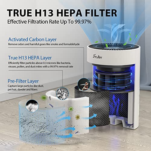 Purificadores De Aire Hogar, Purificador De Aire Hepa H...