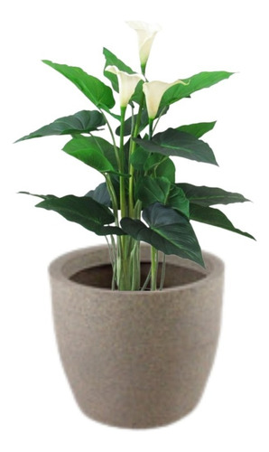 Vaso Decorativo De Planta Flor Redondo Cone 34x27x30 Cor Cimento