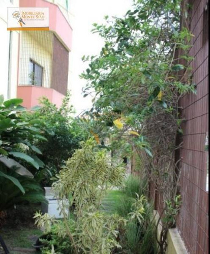 Imagem 11 de 12 de Ponto Comercial À Venda, Macedo, Guarulhos - . - Pt0001