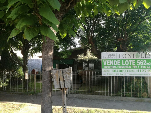 Imagen 1 de 7 de De La Corvina