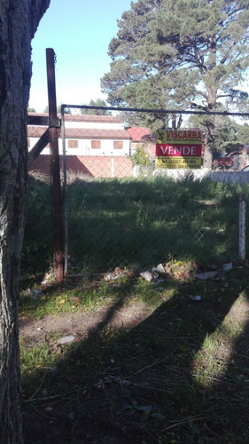 Imagen 3 de 5 de Lote De Terreno