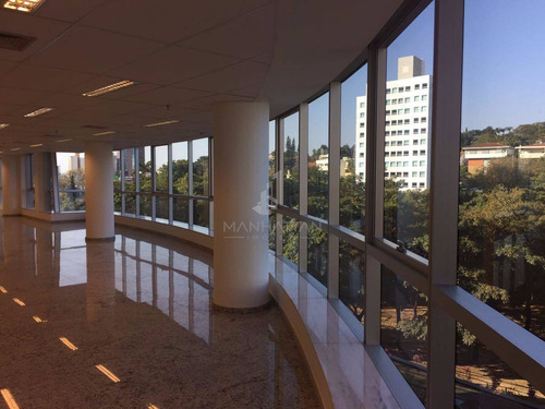 Imagem 7 de 30 de Sala Para Aluguel Em Cambuí - Sa005214