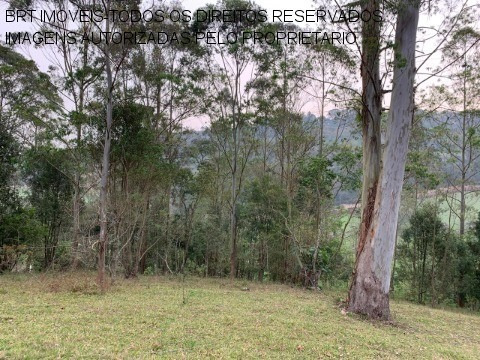 Imagem 3 de 30 de Sitio - St00005 - 34466646