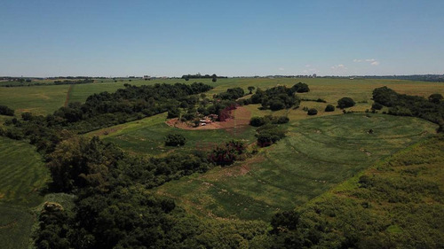 Imagem 1 de 10 de Excelente Área De 16 Alqueires, Com Potencial Valorização Em Região De Grande Desenvolvimento, Próximo Ao Tecnoparque De Maringá. - Si0003
