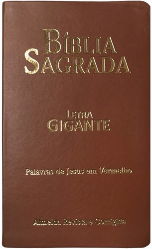 Biblia Sagrada Letra Gigante Palavra De Jesus Em Vermelho