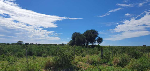 Campo - Santiago Del Estero
