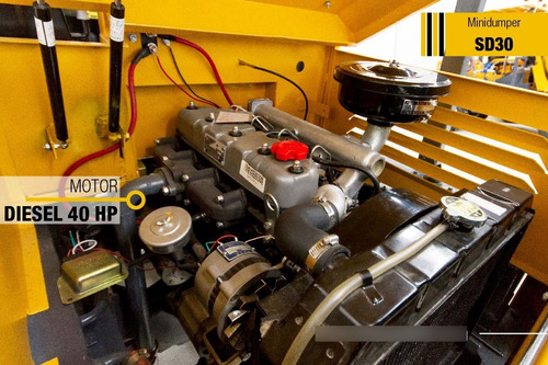 Imagen 7 de 8 de Mini Dumper Sd30