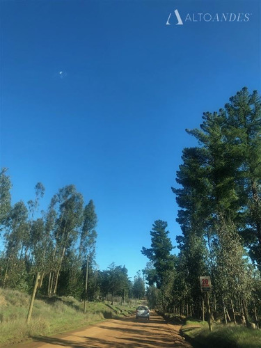Imagen 2 de 13 de Sitio En Venta En Pichilemu